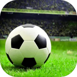 ����ھ�����2025�ֻ���