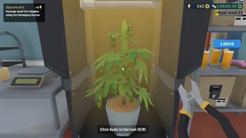 ���ʼ��Ŵ��2025���°汾v3.8 ��׿���ͼ4