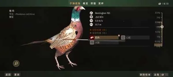 ����֮��(���������Ϸ)