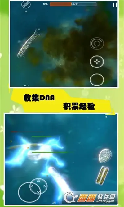 孢子模拟器2025最新版本v55.67 手机版截图4