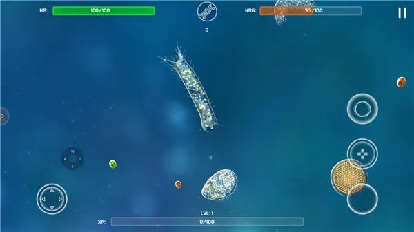 孢子模拟器2025最新版本 孢子模拟器2025最新版本