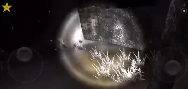 �ֲ�ɭ��2(�ֲ�ð����Ϸ)