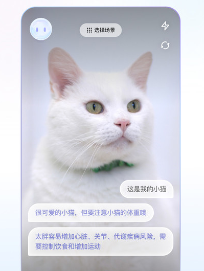 ׿apk2025°v1.0.0 ׿ֻͼ3