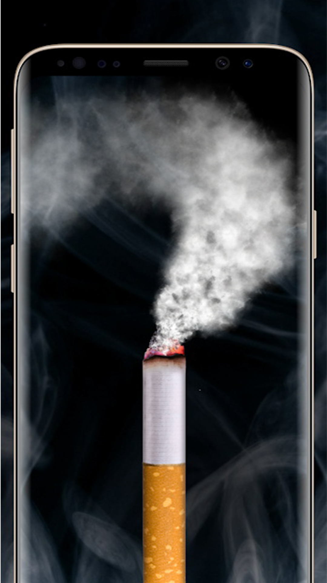 ģ׿ذװ°2025ͼ1