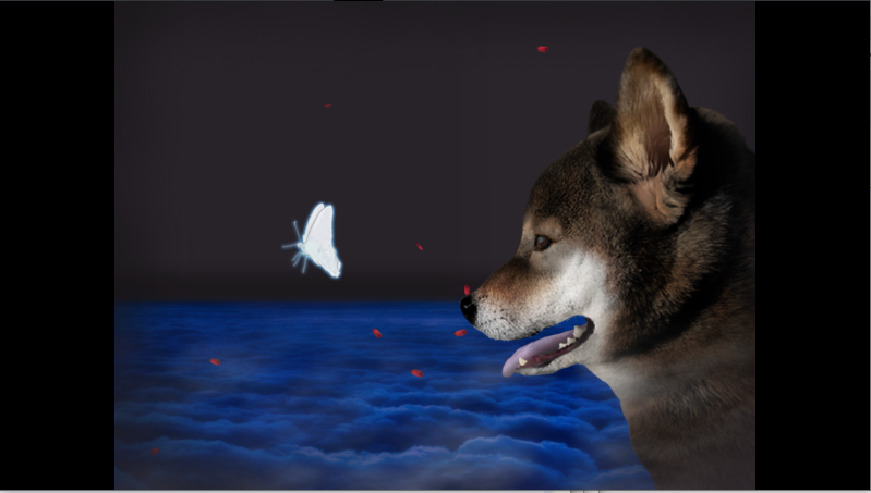 ղ湷ռϷ׿氲װ