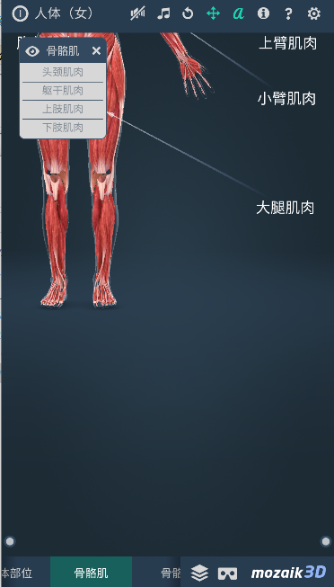 Human body (female)2025°汾v1.0.0 ׿İͼ4