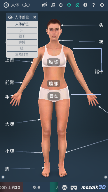 Human body (female)2025°汾v1.0.0 ׿İͼ3