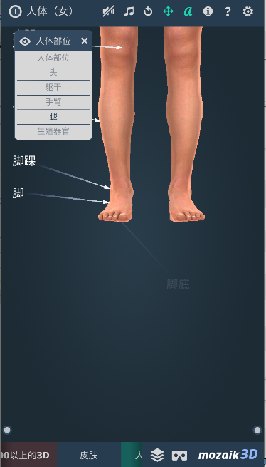 Human body (female)2025°汾v1.0.0 ׿İͼ2