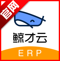 erp׿