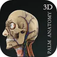 3D(3Dѧ)