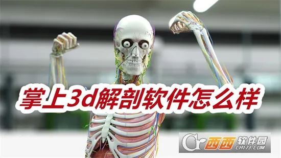 3D(3Dѧ)