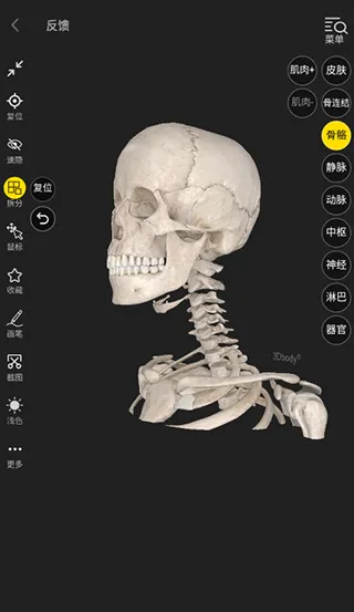 3D(3Dѧ)