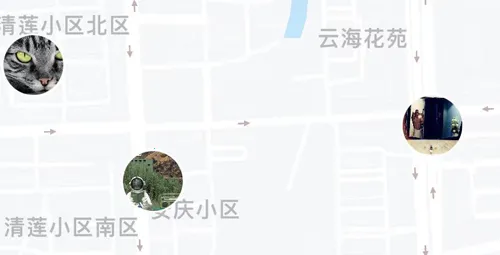 corgi�»�app����