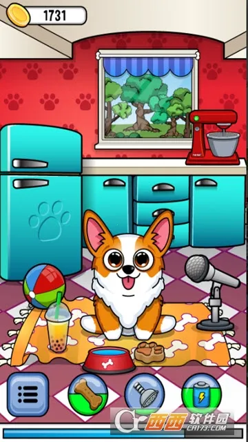 corgi��������