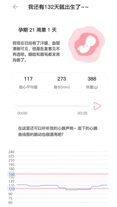 fetalheart̥����2026�ٷ����°汾v1.0.8 �ֻ����ͼ0