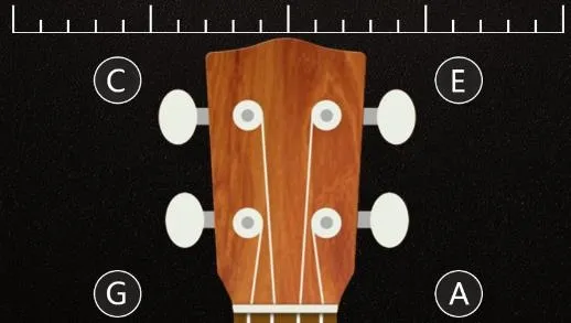 �����������ֻ���Ѱ�app