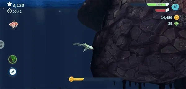 ����������ϰ汾