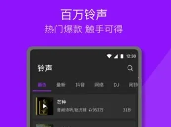 Q������2026����