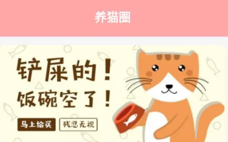 �����ҵ�è����