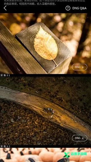 �˾���LR��ɫ��ʦ2026�ٷ����°汾