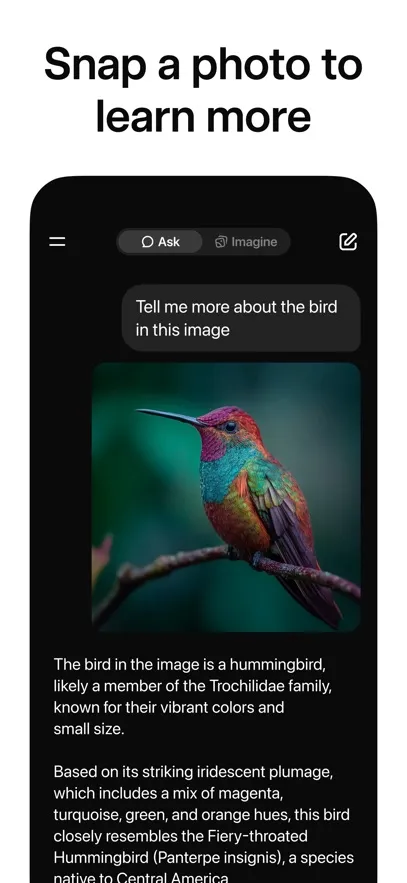 grok破甲全2026下载v1.1.02-release.00 安卓版截图2