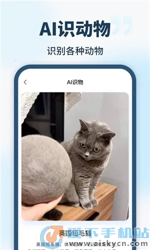 AI智能助手2026最新版本v1.0.0 手机版截图1
