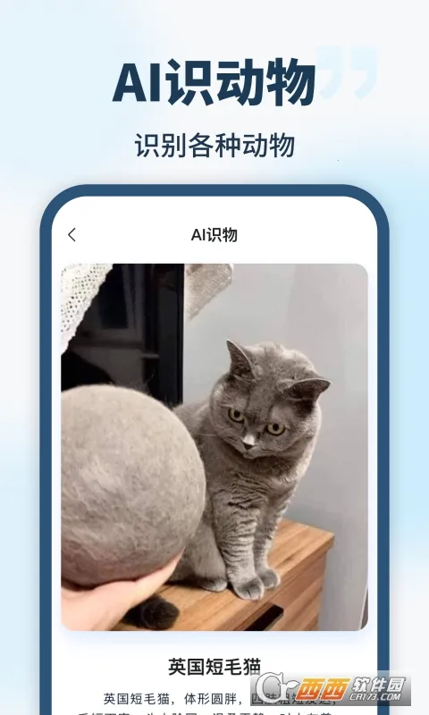 AI智能助手2026最新版本 AI智能助手2026最新版本