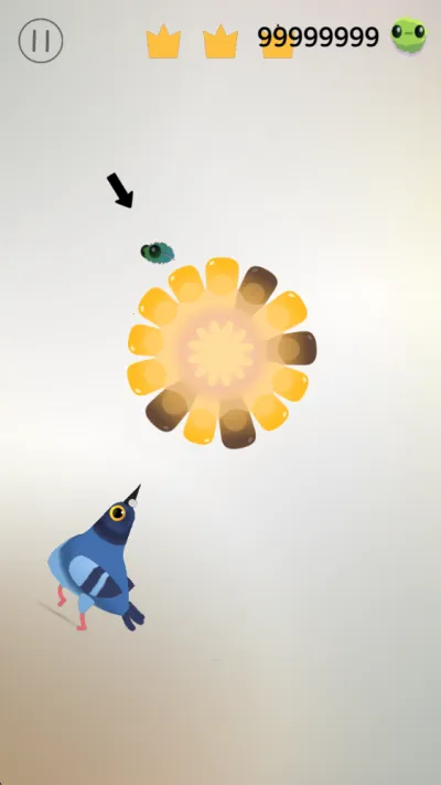 pigeon���ĸ���