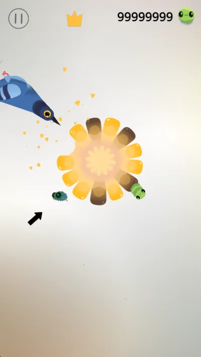 pigeon���ĸ���