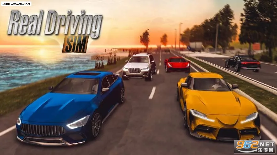 ��ʵ��ʻģ��3Dv2.5 �ֻ����ͼ2