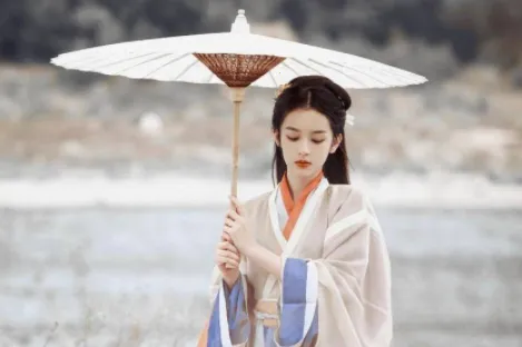 海鸥影评官方正版下载 海鸥影评官方正版下载