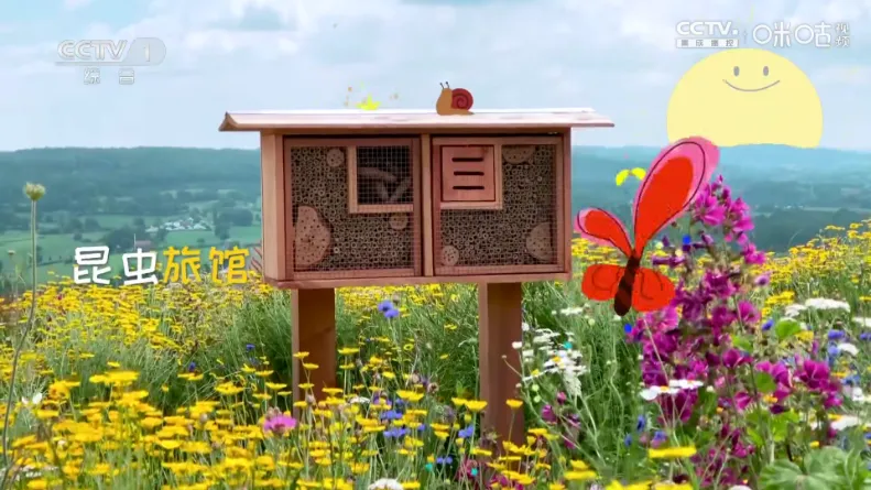 �ȵ�С��vLIVE ��׿���ͼ0