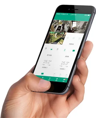 ȫ������