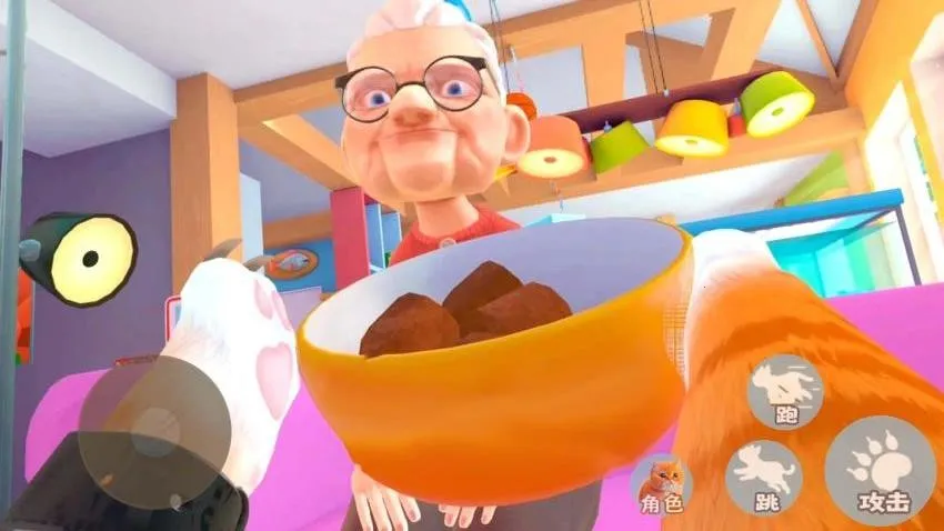 猫咪风云 猫咪风云