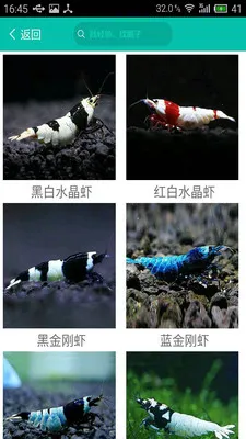 泡泡水族 泡泡水族