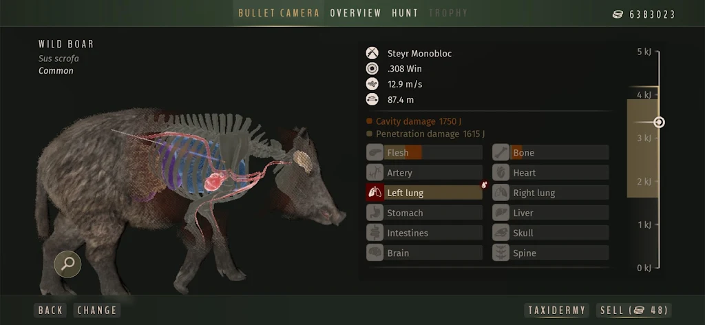 猎人之路:狂野欧洲v1.0.11 手机版截图0