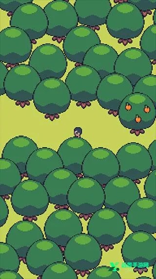 ��������ũ�������ֻ���