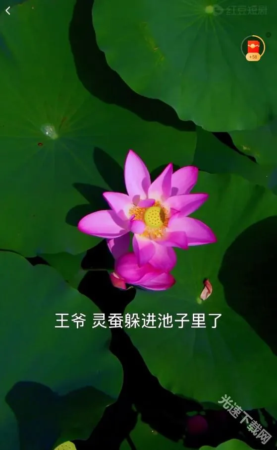 �춹�̾���Ѱ�����