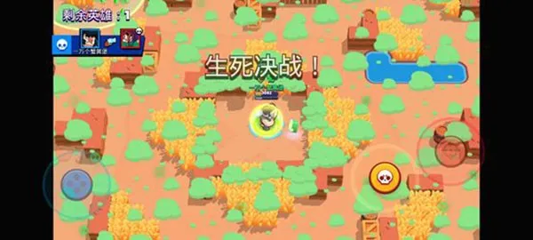 ��Ұ�Ҷ��ʺ��2026����