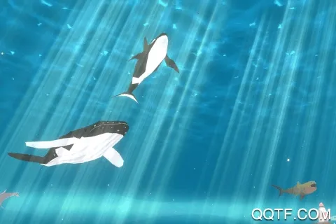 ���״���ɱ������v2.1.4 �ֻ����ͼ3