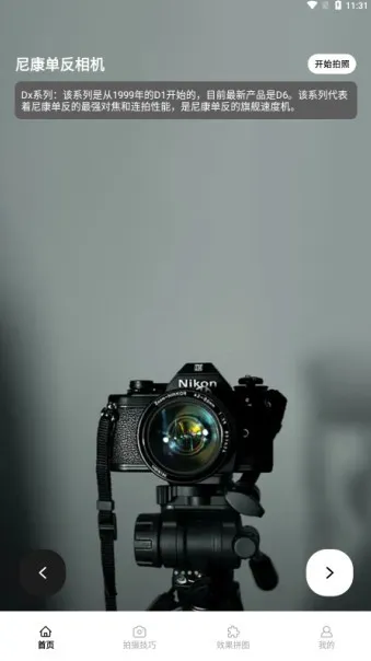 ����������°�׿��