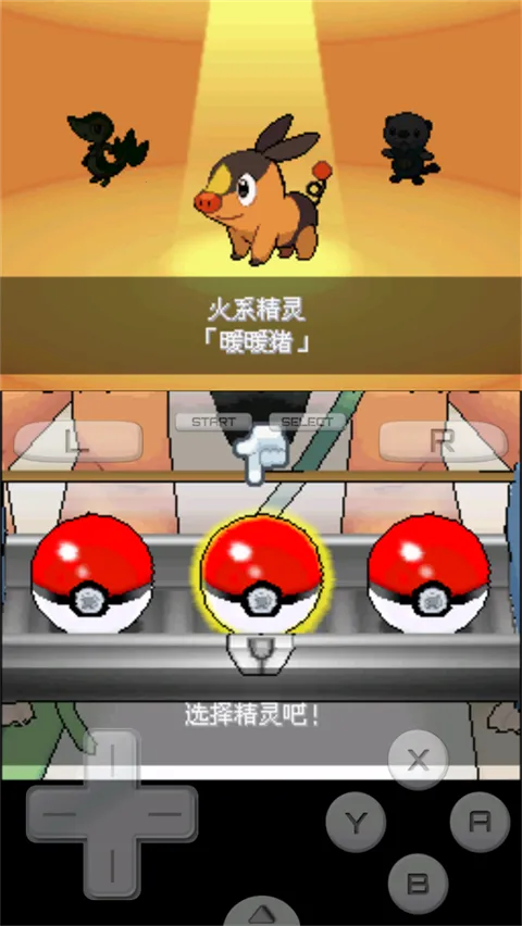 口袋妖怪 超透黑2 版(宝可梦同人游戏) 口袋妖怪 超透黑2 版(宝可梦同人游戏)