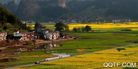 新新宁2026官方最新版本 新新宁2026官方最新版本