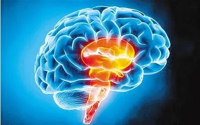 ֪��С��2026����