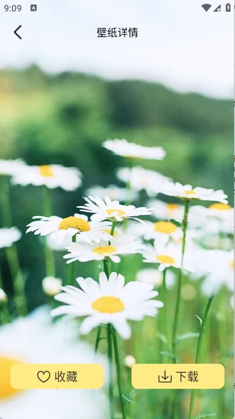 �Ⱦޱ�ֽ(��ֽ���Ի�����)v1.1 �ֻ����ͼ0