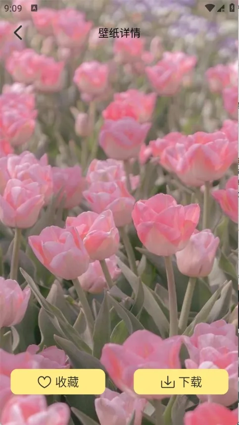 �Ⱦޱ�ֽ(��ֽ���Ի�����)v1.1 �ֻ����ͼ1