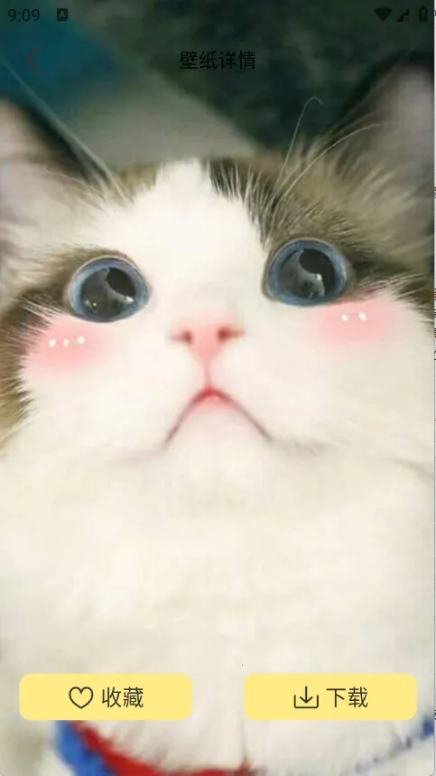 �Ⱦޱ�ֽ(��ֽ���Ի�����)v1.1 �ֻ����ͼ4