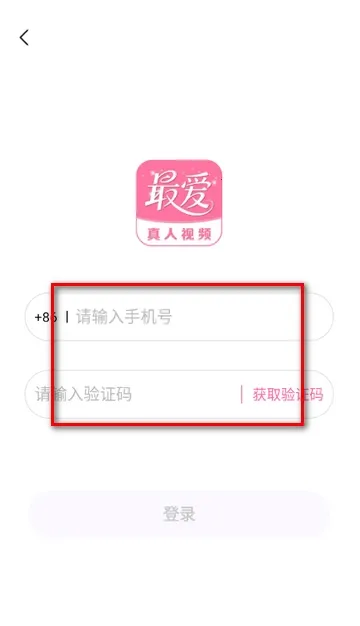 �����2026����