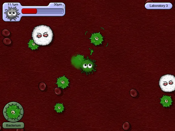 ��ζ��������Ե���������