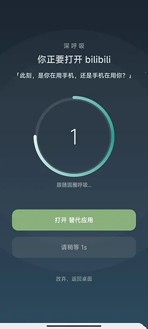 SlowDown(手机防沉迷应用)v1.1.0 手机版截图3